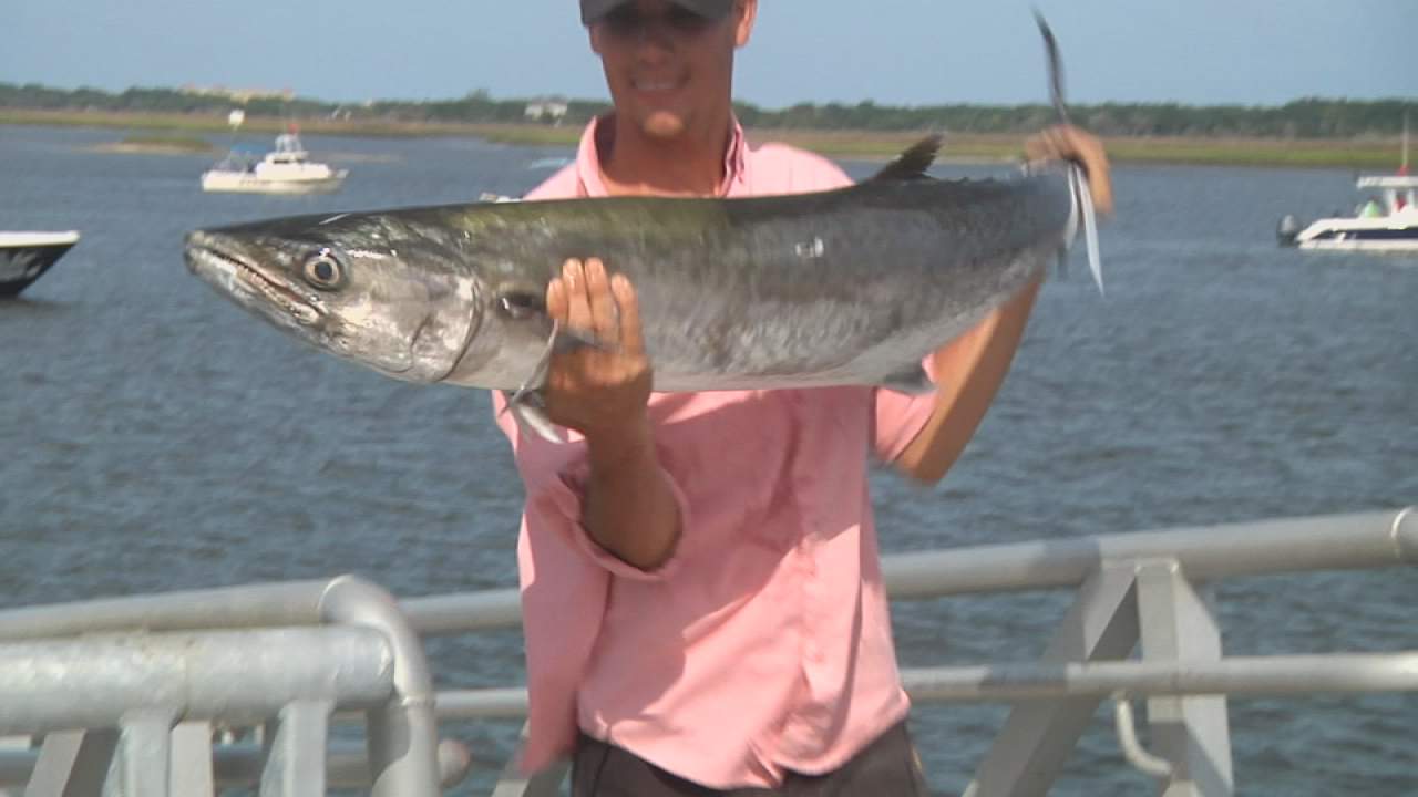 Results from this weeks Greater Jacksonville Kingfish Tournament events