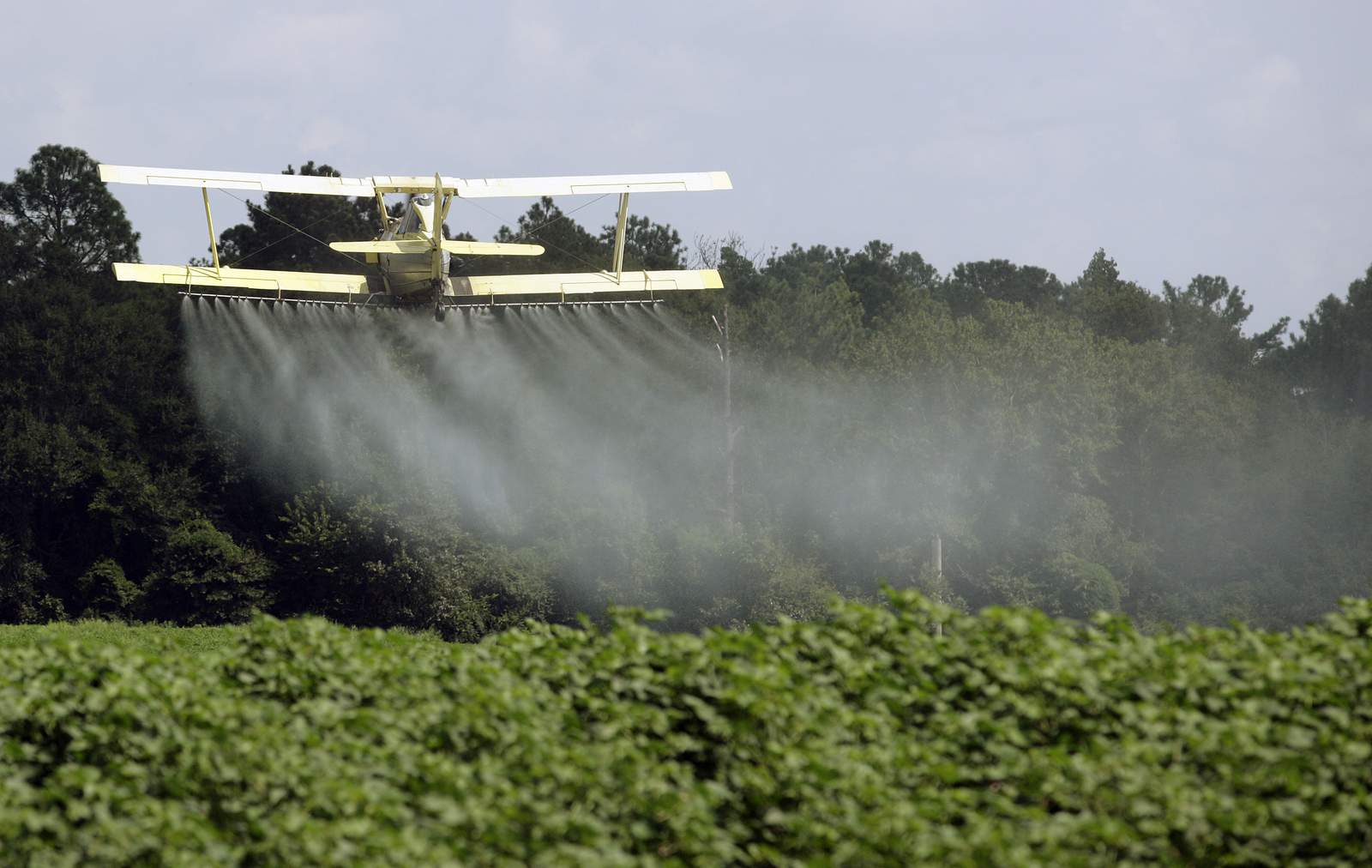 Study: US pesticide use falls but harms pollinators more