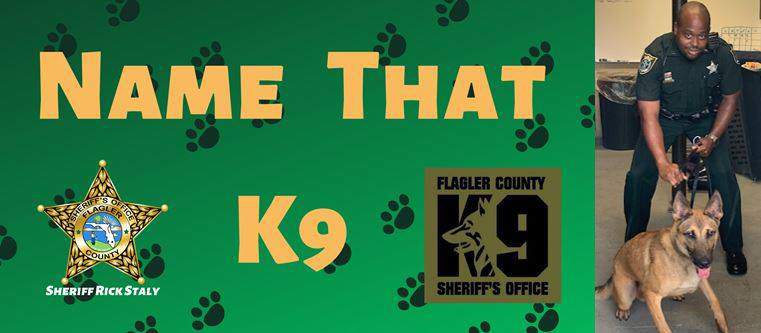 Flagler County Sheriffs Office asks for help naming new K-9