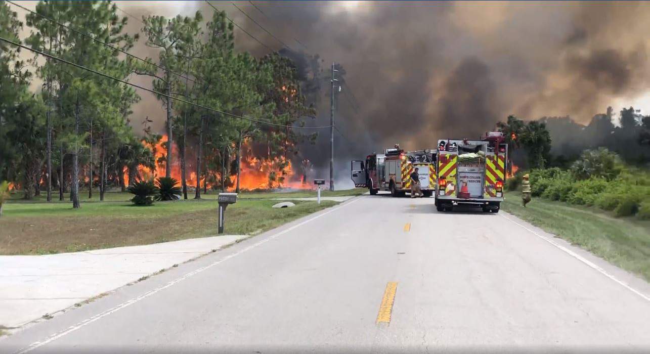 Officials: Southwest Florida brush fires destroyed 12 homes