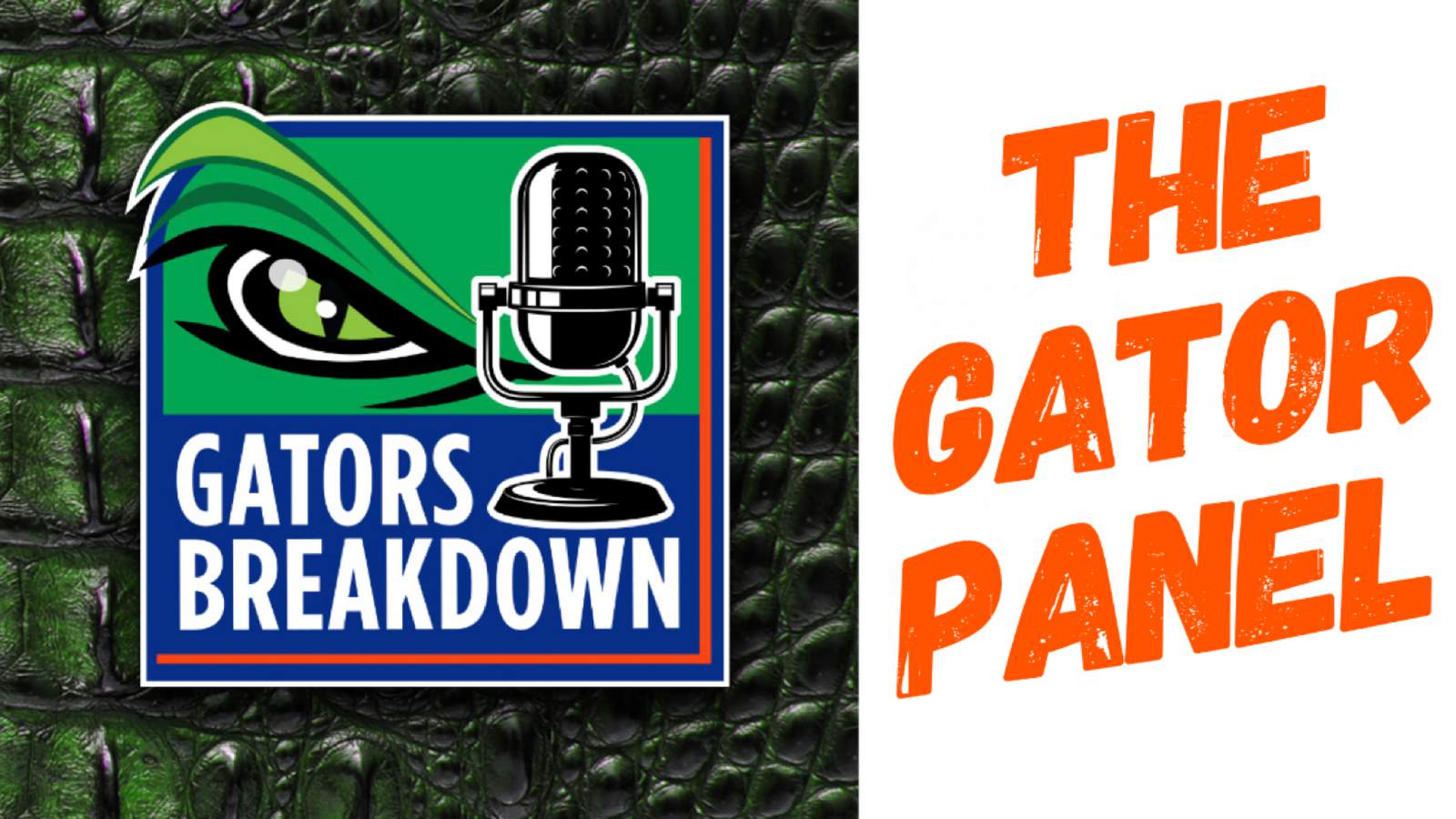 Gators Breakdown: The Gator Panel - Impact of coronavirus outbreak for Gators football
