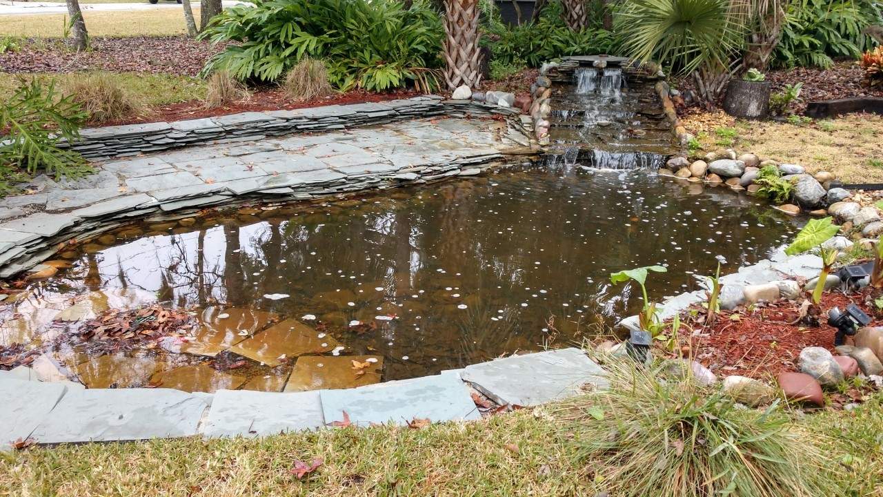 Is your lawn waterlogged? Here’s how to fix it