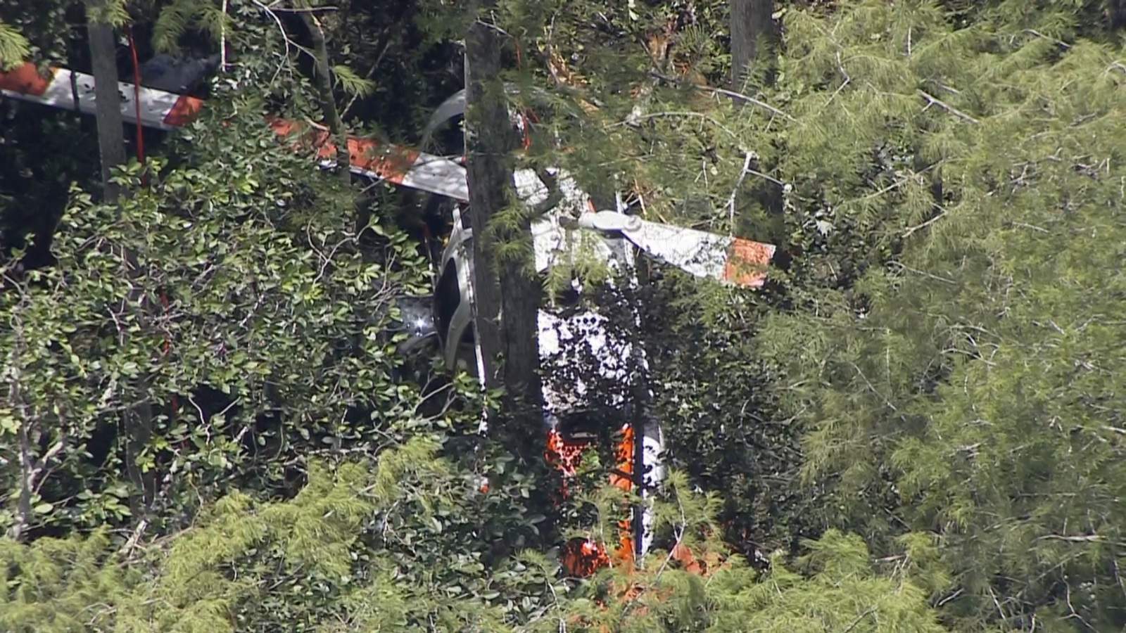 Helicopter pilot survives crash in Florida park