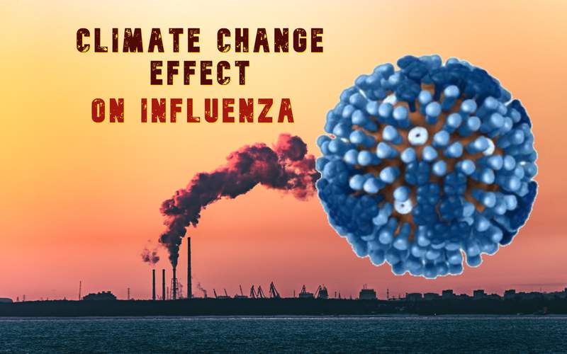 Climate change’s big weather swings boosts risk of influenza
