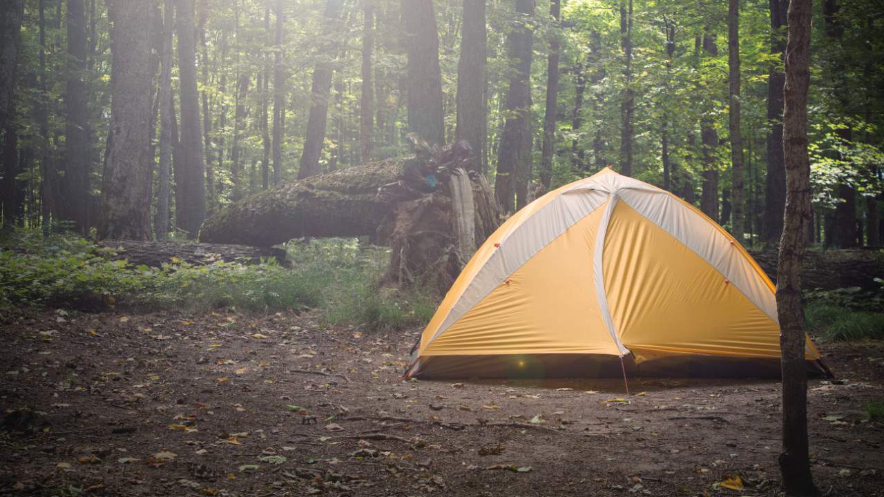Primitive tent camping reopens Friday in Northeast Florida, around state