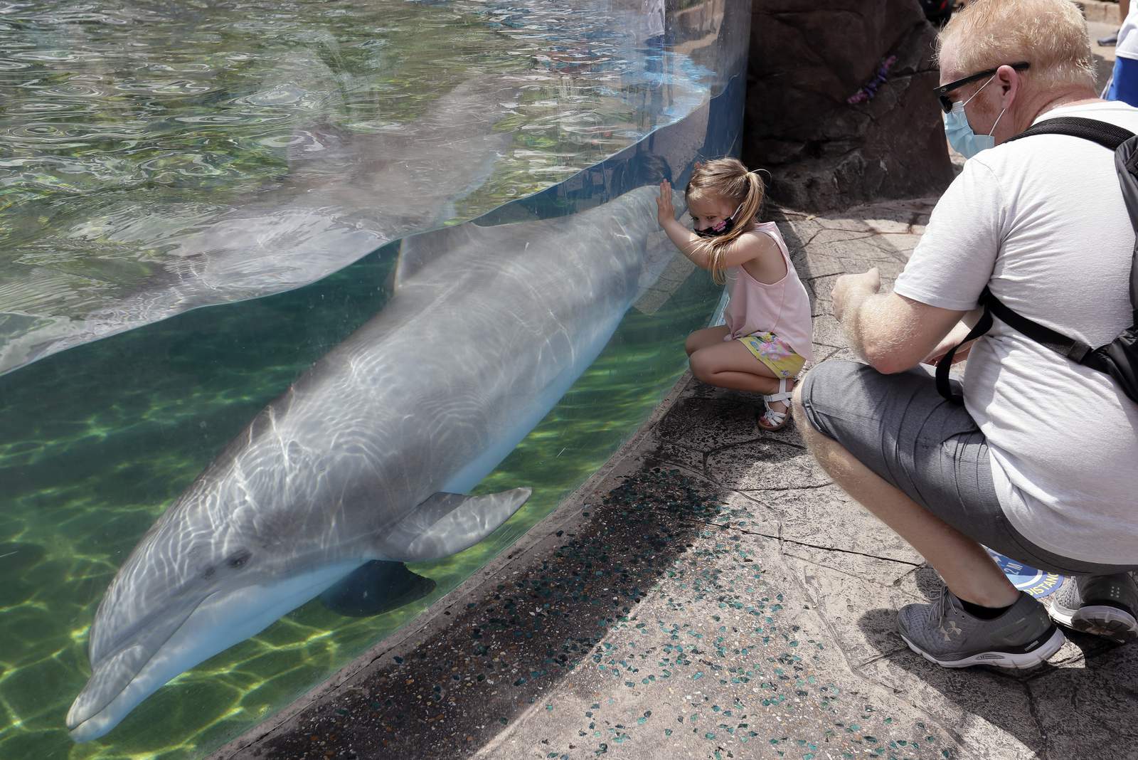 SeaWorld offers free admission for Florida teachers for a year