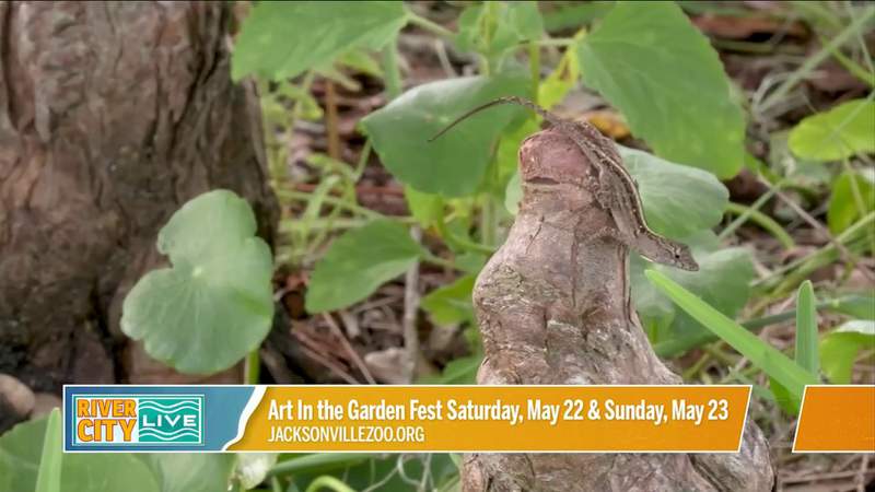 Art In the Gardens Fest + Flamingo Encounter! | River City Live