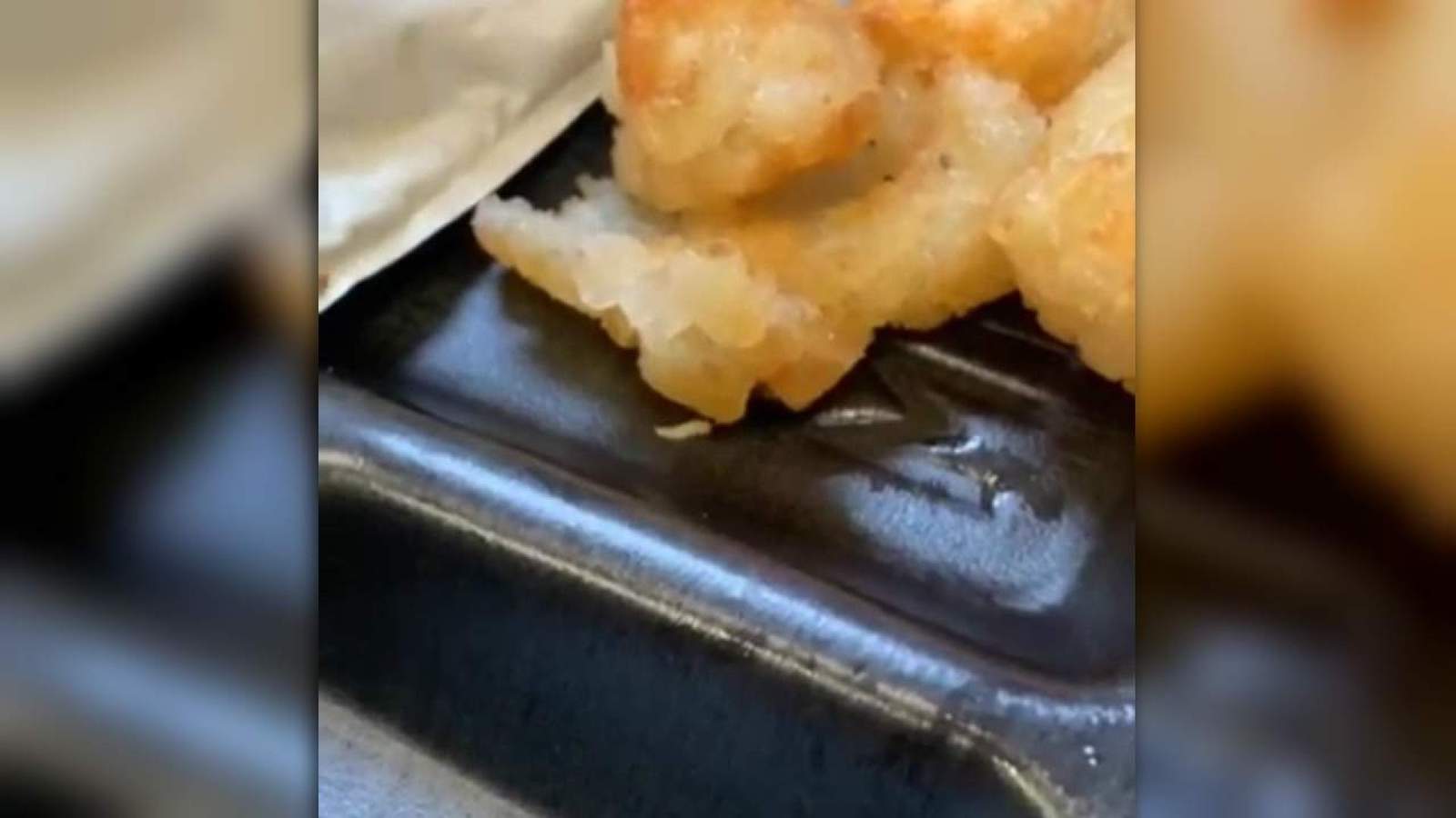 Middleburg High students revolted by maggots found in school lunches