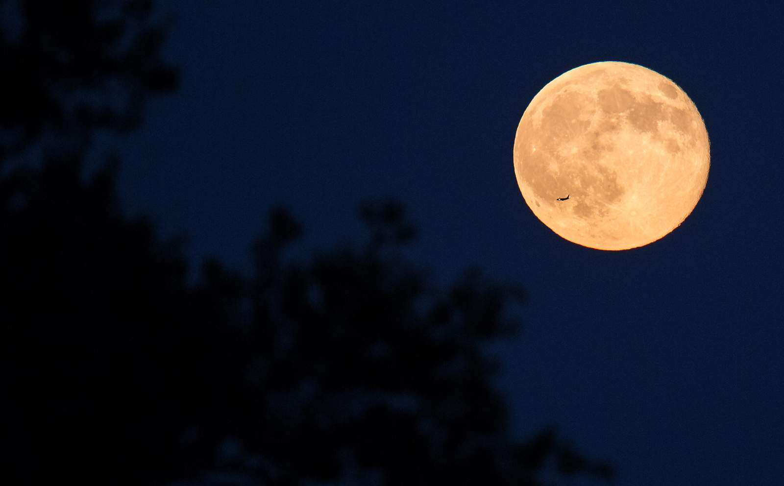 First full moon on Halloween since 1944