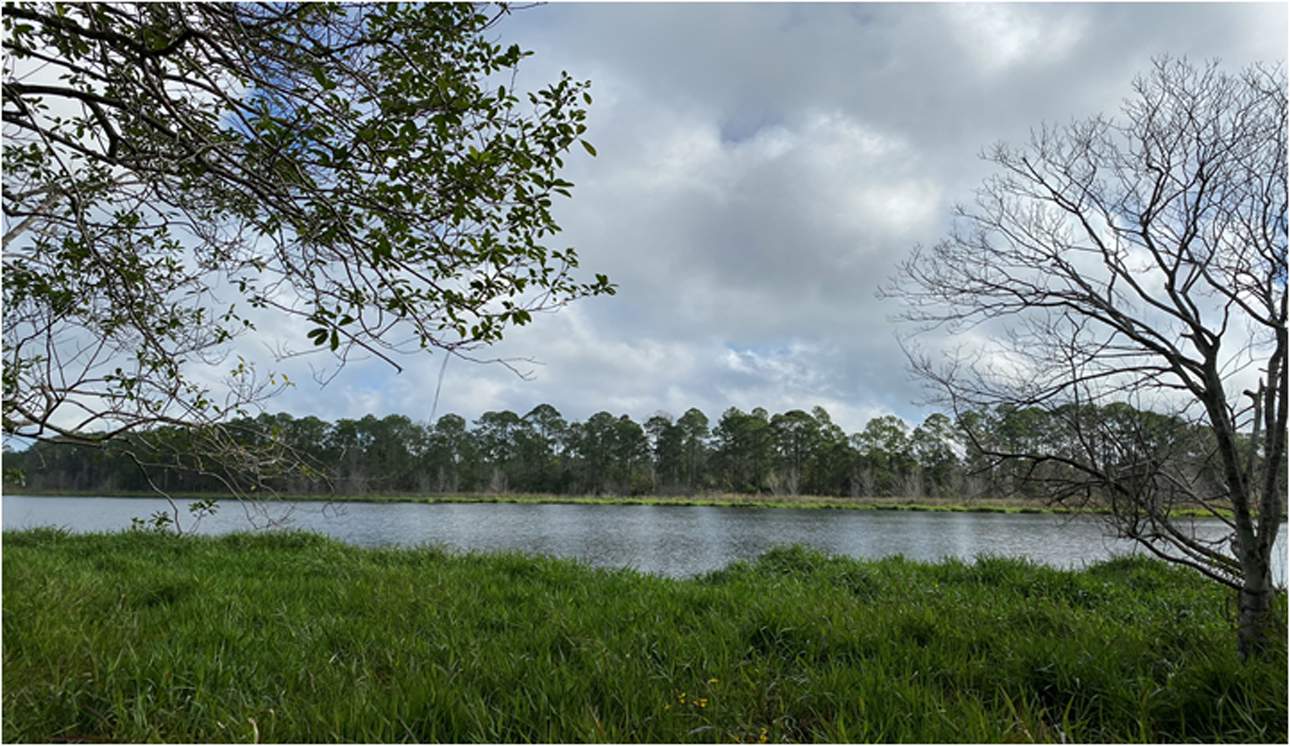 Environmentalists challenge permitting change in Florida