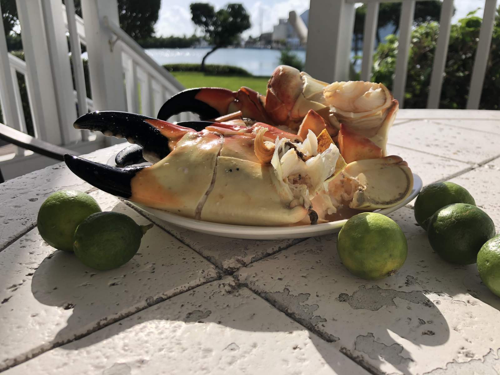 It’s here! Stone crab season opens Thursday