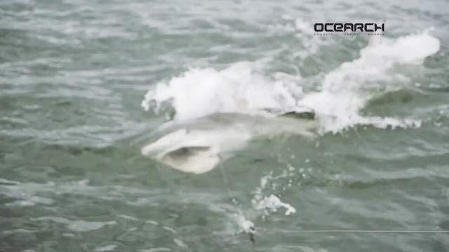 No description available