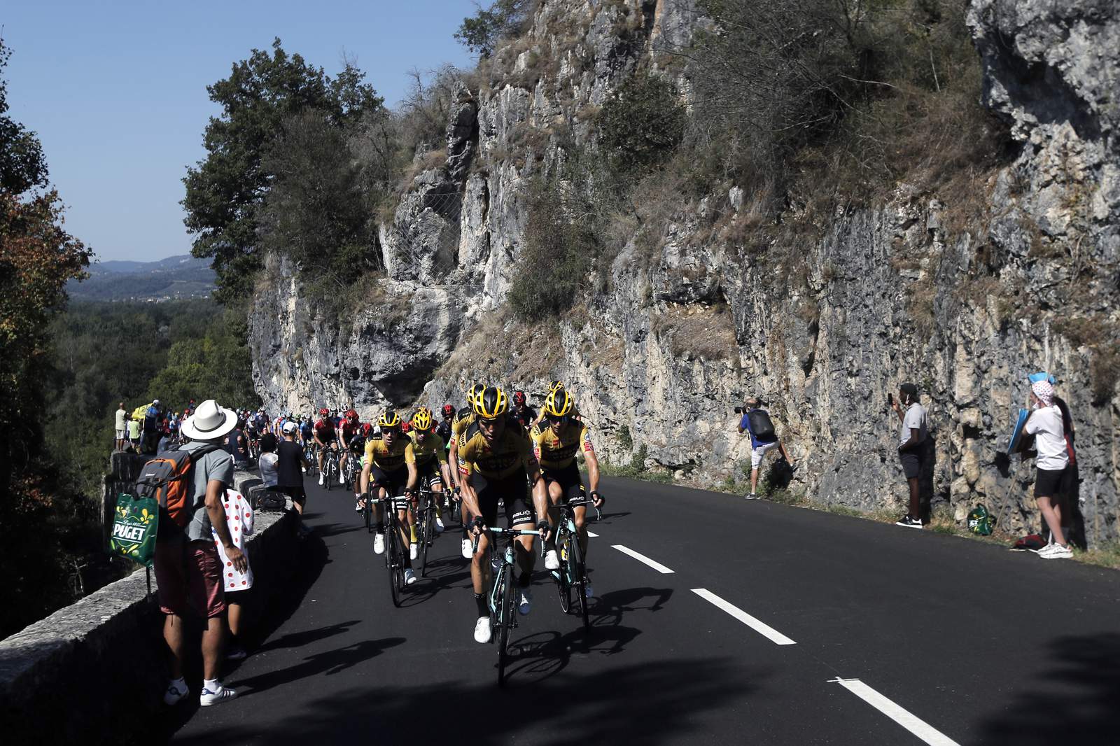 Pogacar wins Stage 15 at Tour de France, Roglic retains lead