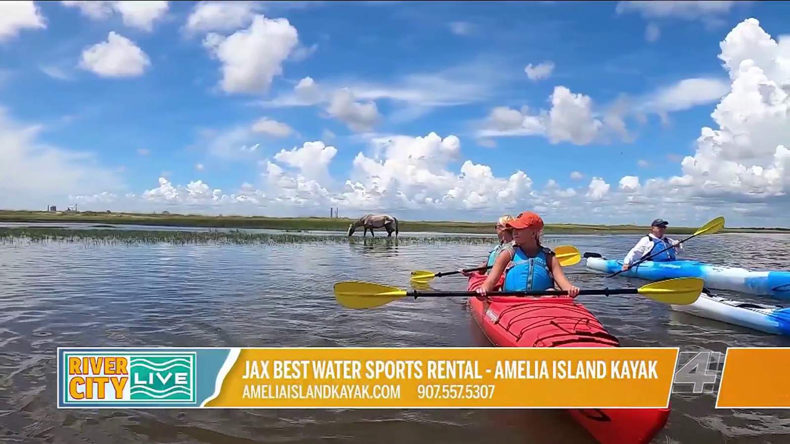 Amelia Island Kayak Excursions voted JaxBest water sports rental