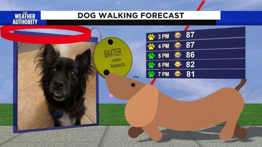How to get your dog featured on the Dog Walk Forecast