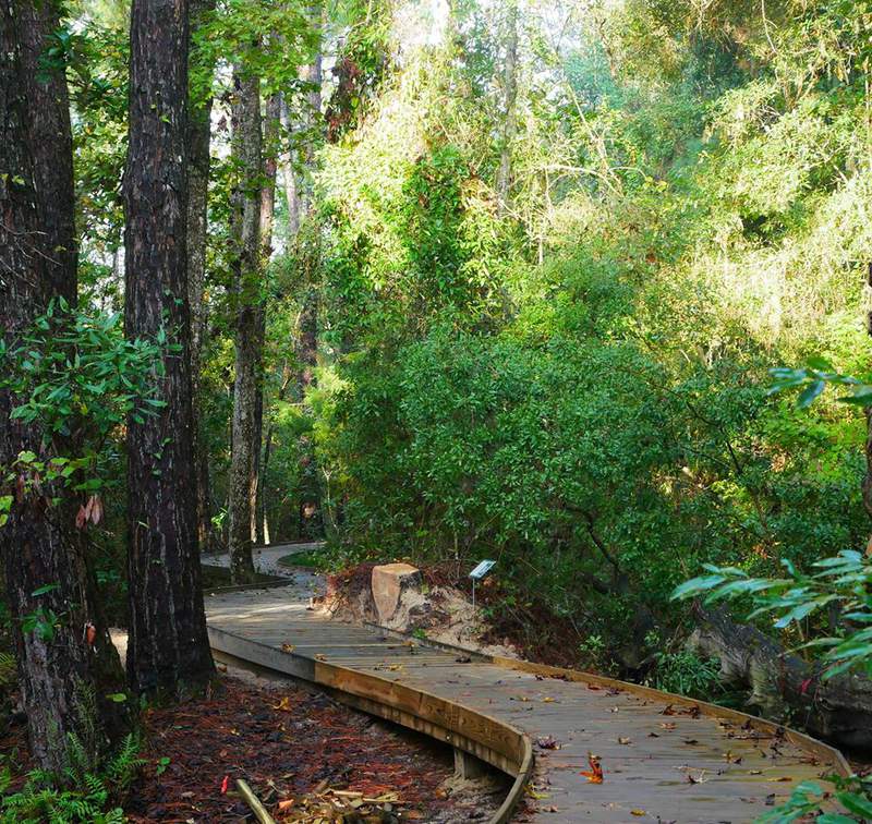 Best local scenic trail Jacksonville Arboretum and Gardens