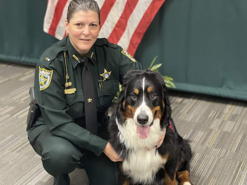 Creature Comfort: Meet the newest member of the Nassau County Sheriff’s Office