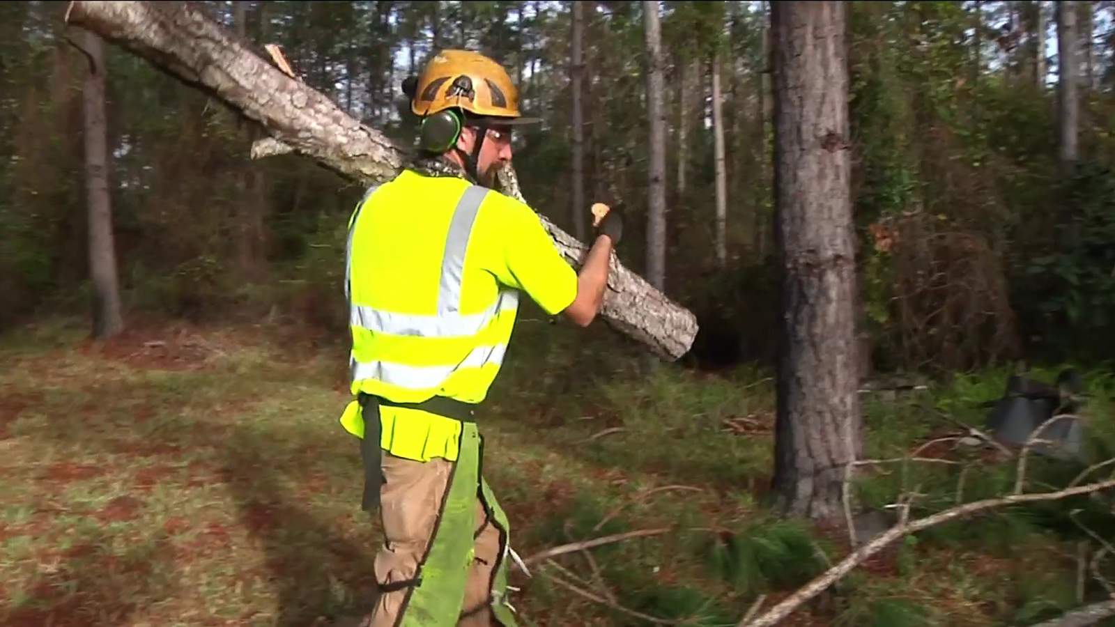 Tree removal service branches out to help veterans