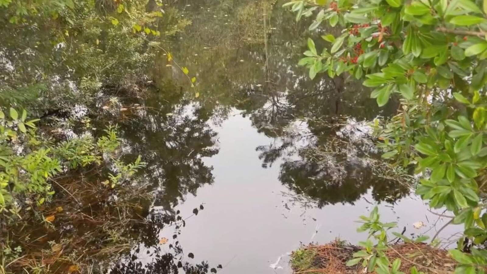Naked body with gunshot found in plastic container in pond