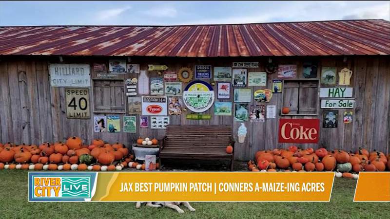 Jacksonville’s best pumpkin patch: Conner’s A-Maize-Ing Acres Farm
