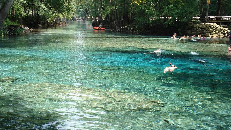 Judge backs permit to bottle water from Ginnie Springs - WJXT News4JAX