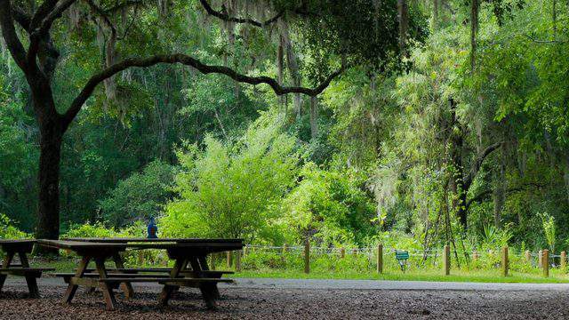 No description available