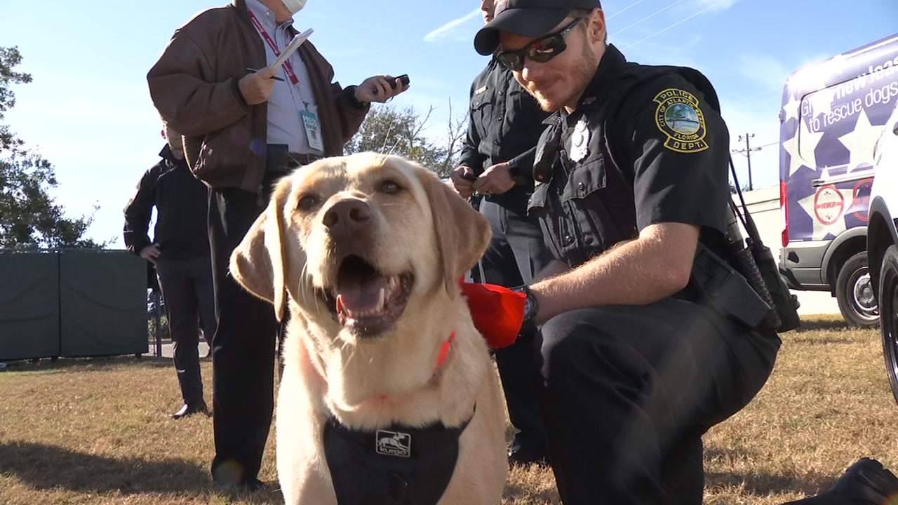 K9s For Warriors donates dogs to beaches police departments