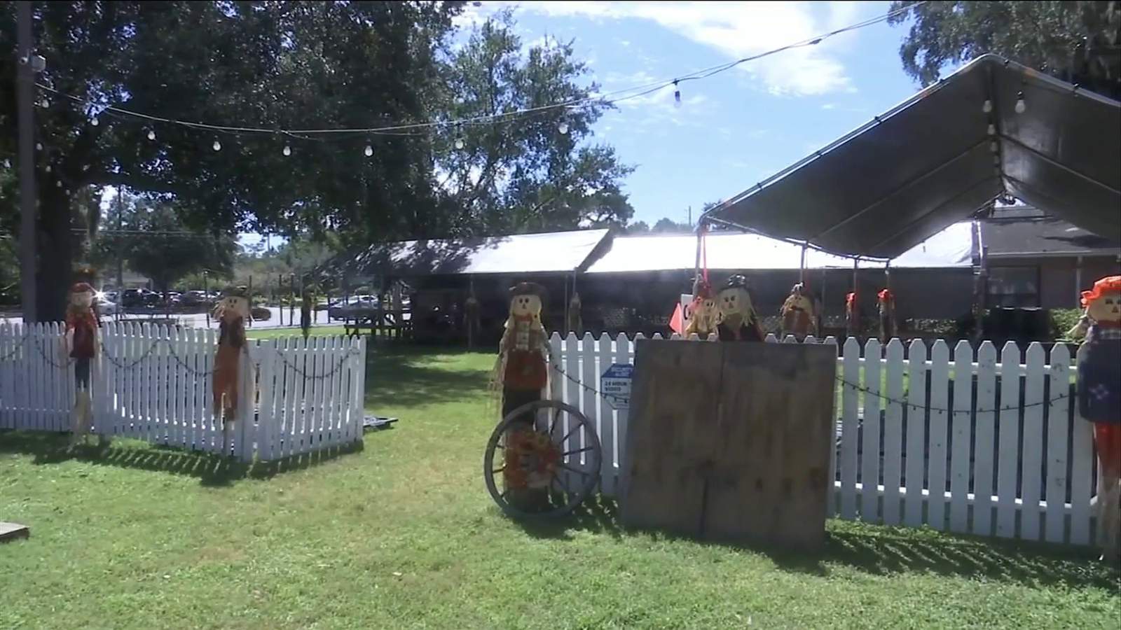Tweaking traditions: Jacksonville pumpkin patch pressing on despite pandemic