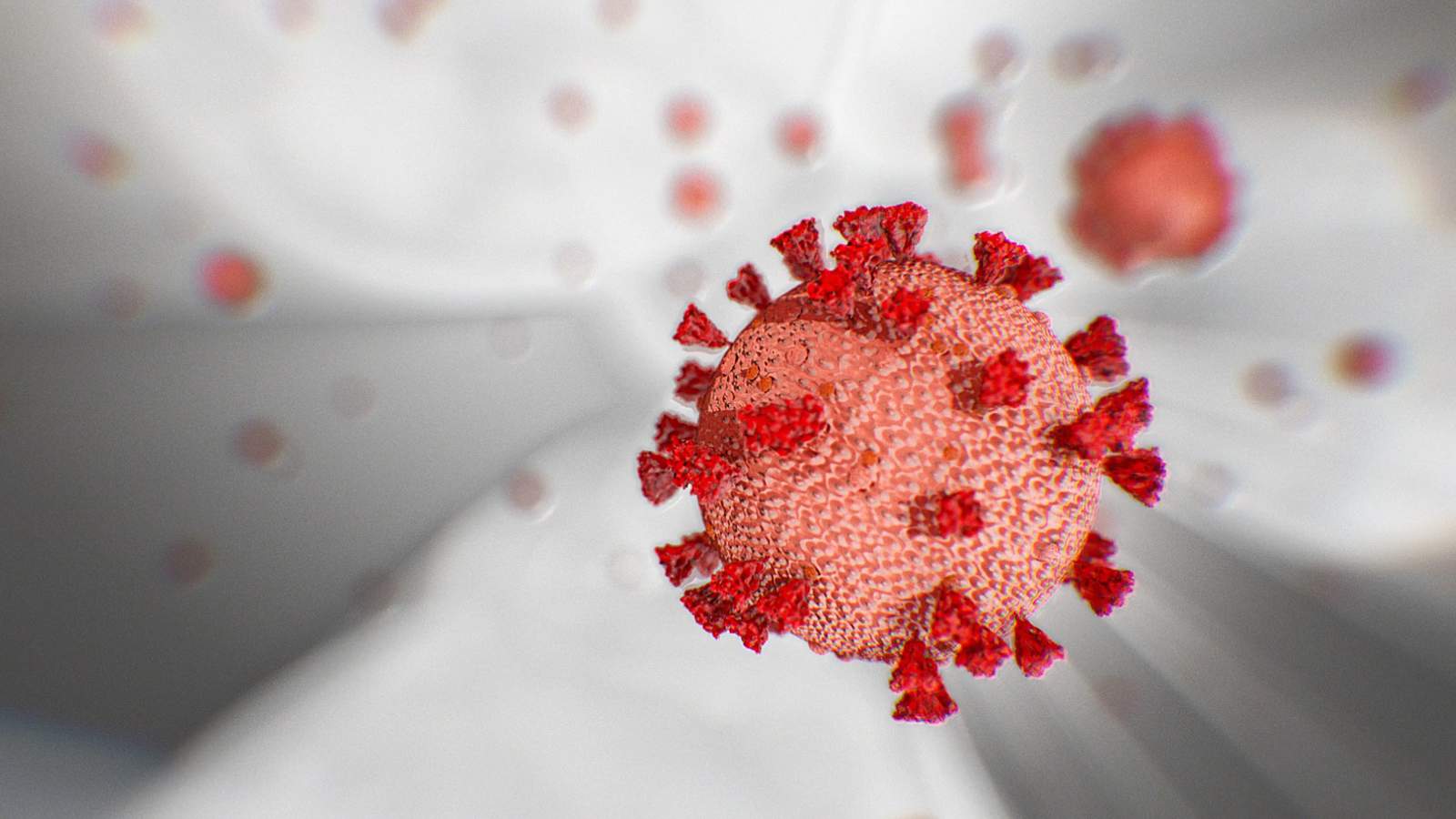 Post-COVID fibrosis a concern even for younger coronavirus patients
