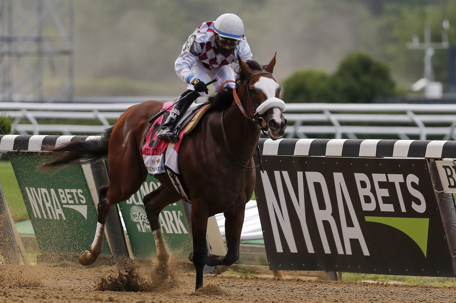 NY-bred Tiz the Law wins barren Belmont Stakes