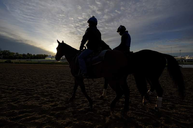 Midnight Bourbon, Concert Tour are top Preakness challengers
