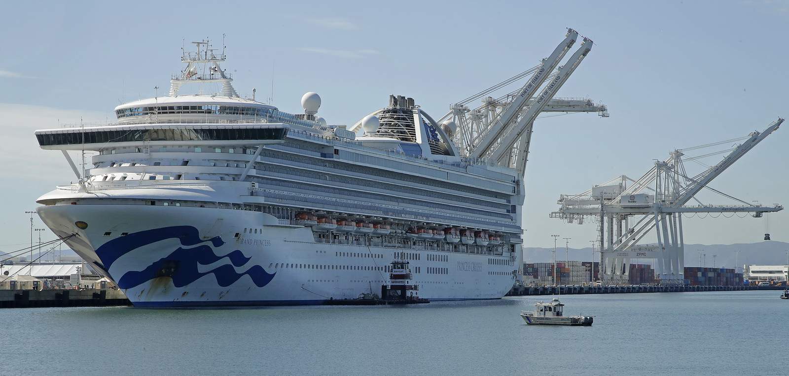 Princess Cruises halting its fleet for 60 days over coronavirus pandemic