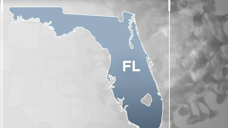 County-by-county COVID death data once again searchable in Florida