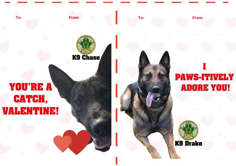 These Valentine S Day Cards Featuring Sheriff S Office K 9s Are Paws Itively Adorable