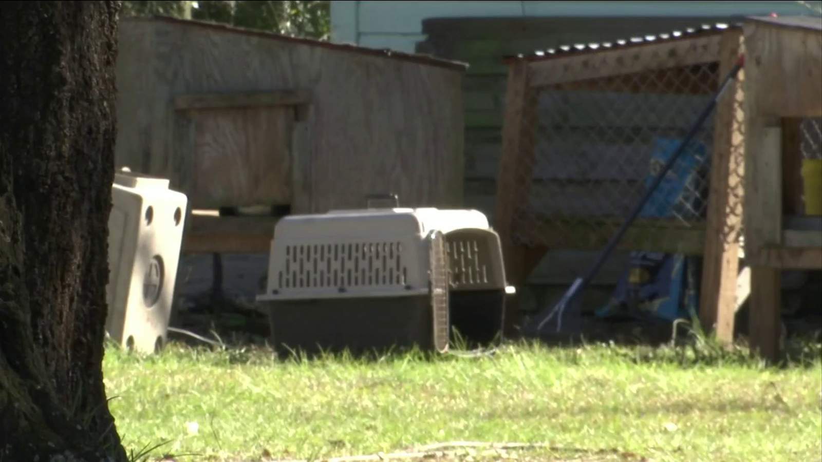 Neighbors suspect Westside property was used for dogfighting