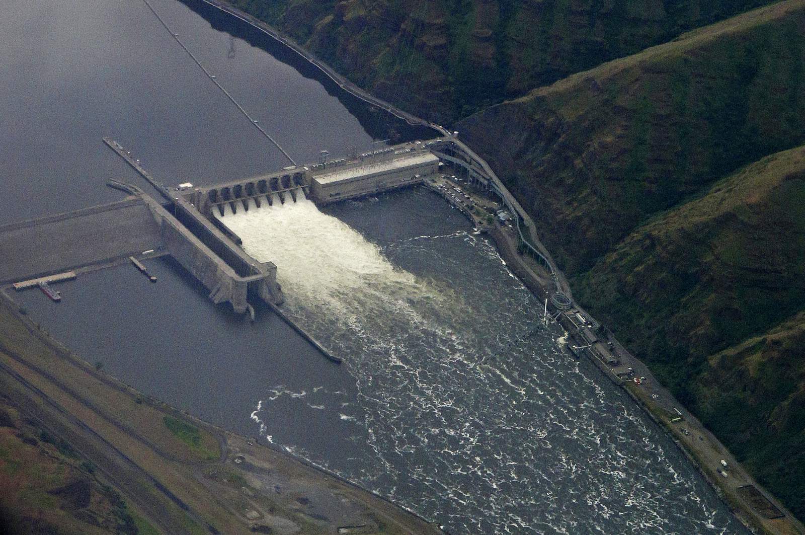 US: Snake River dams will not be removed to save salmon