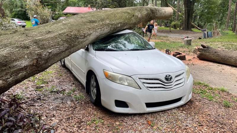‘It breaks my heart’: Soon-to-be dad laments loss of car crushed by oak tree in Elsa