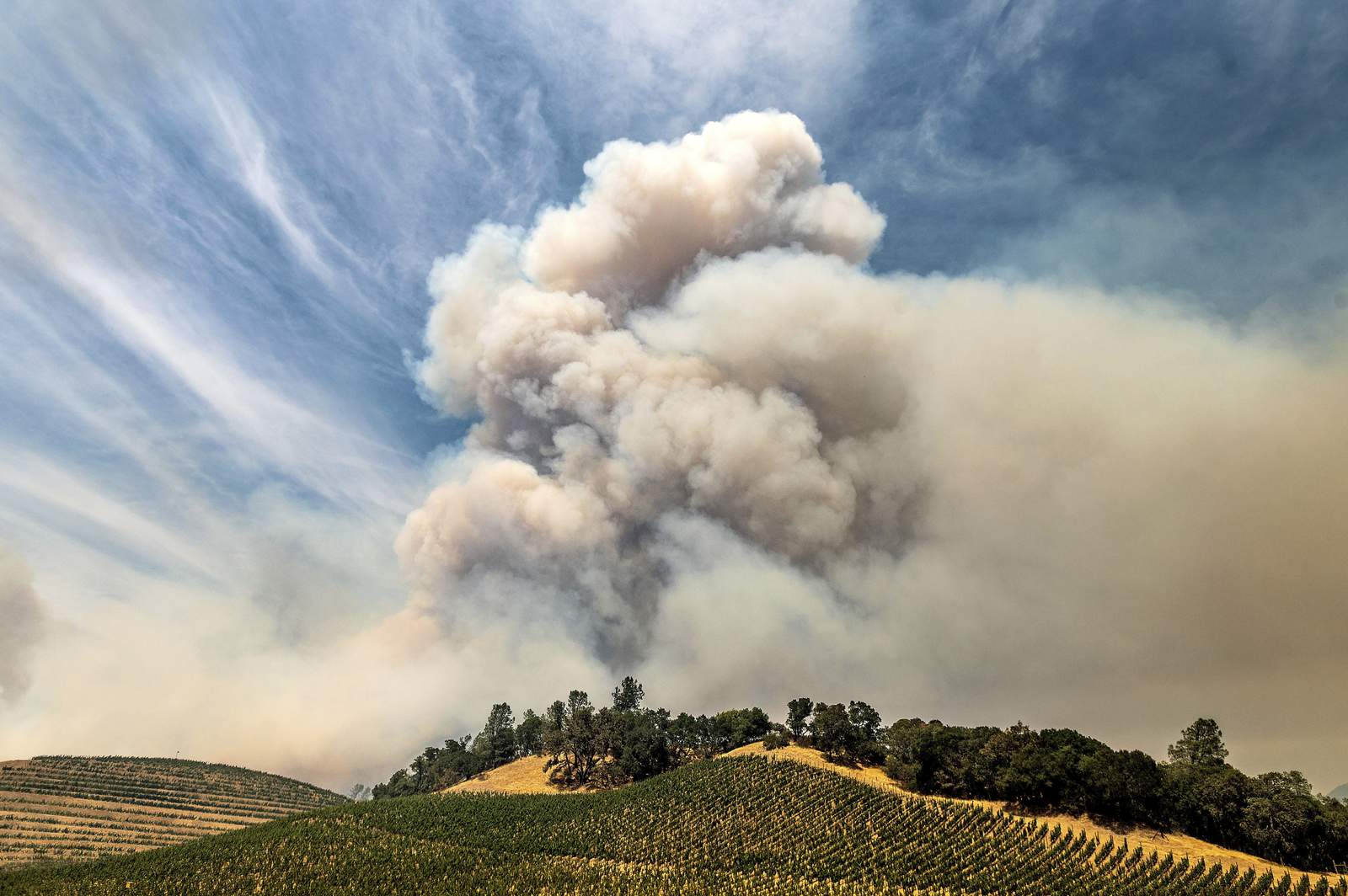 Wildfires taint West Coast vineyards with taste of smoke