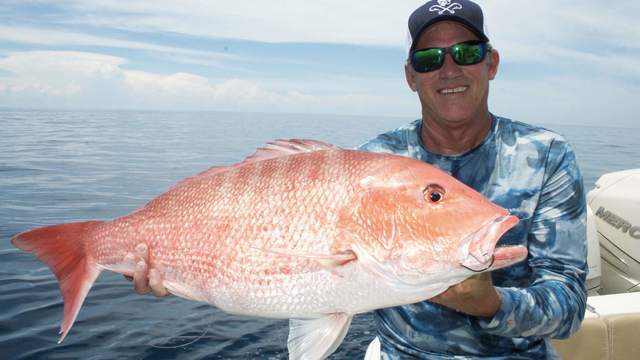 Recreational Snapper Fishing Mini Season Announced For 2019 After a year primarily spent in quarantine, television had the impossible job of giving us prestige drama, high camp, lowly reality tv snackables, and also al pacino fighting nazis. news4jax