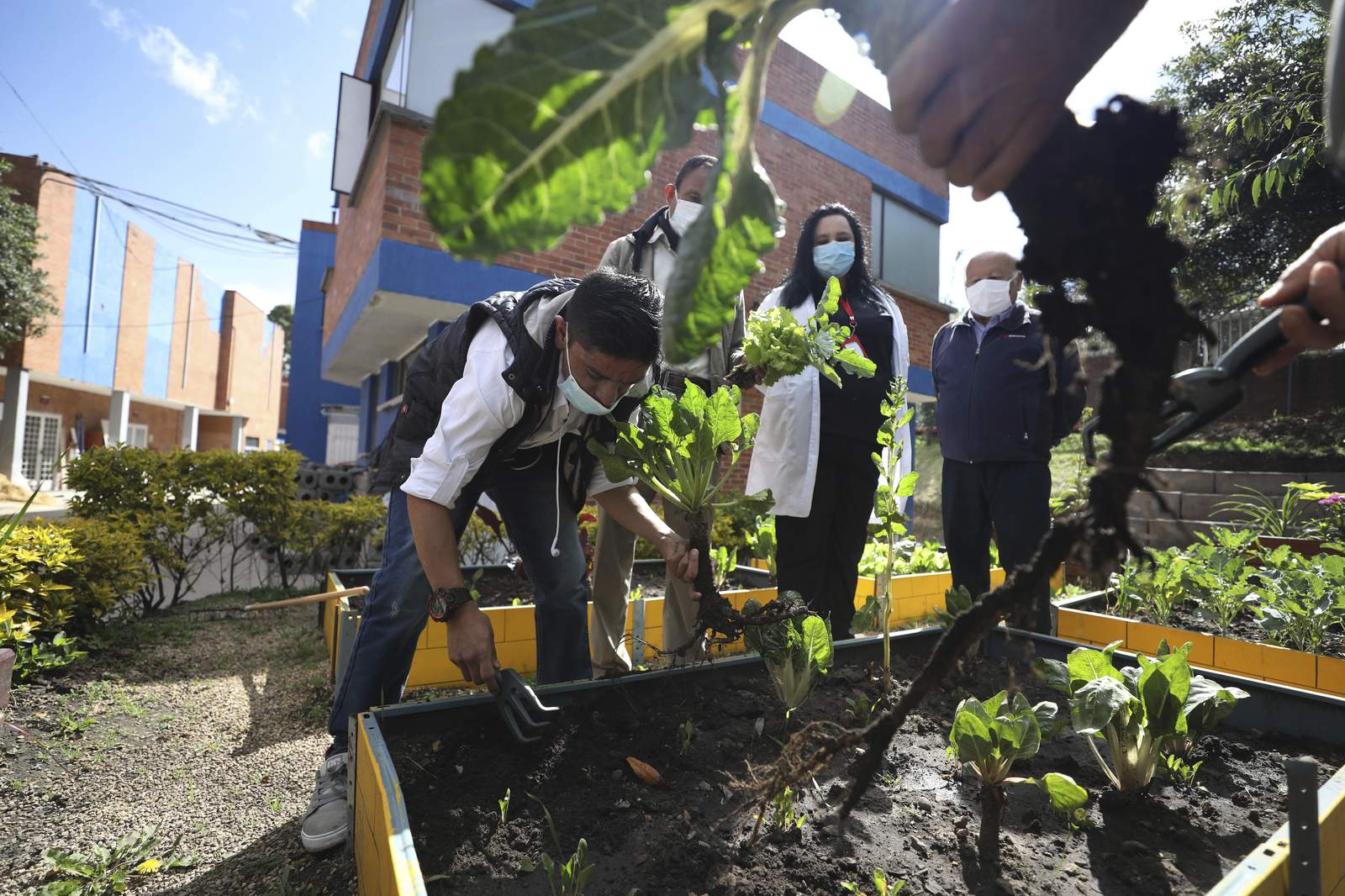 Gardening helps kidney patients in Colombian hospital