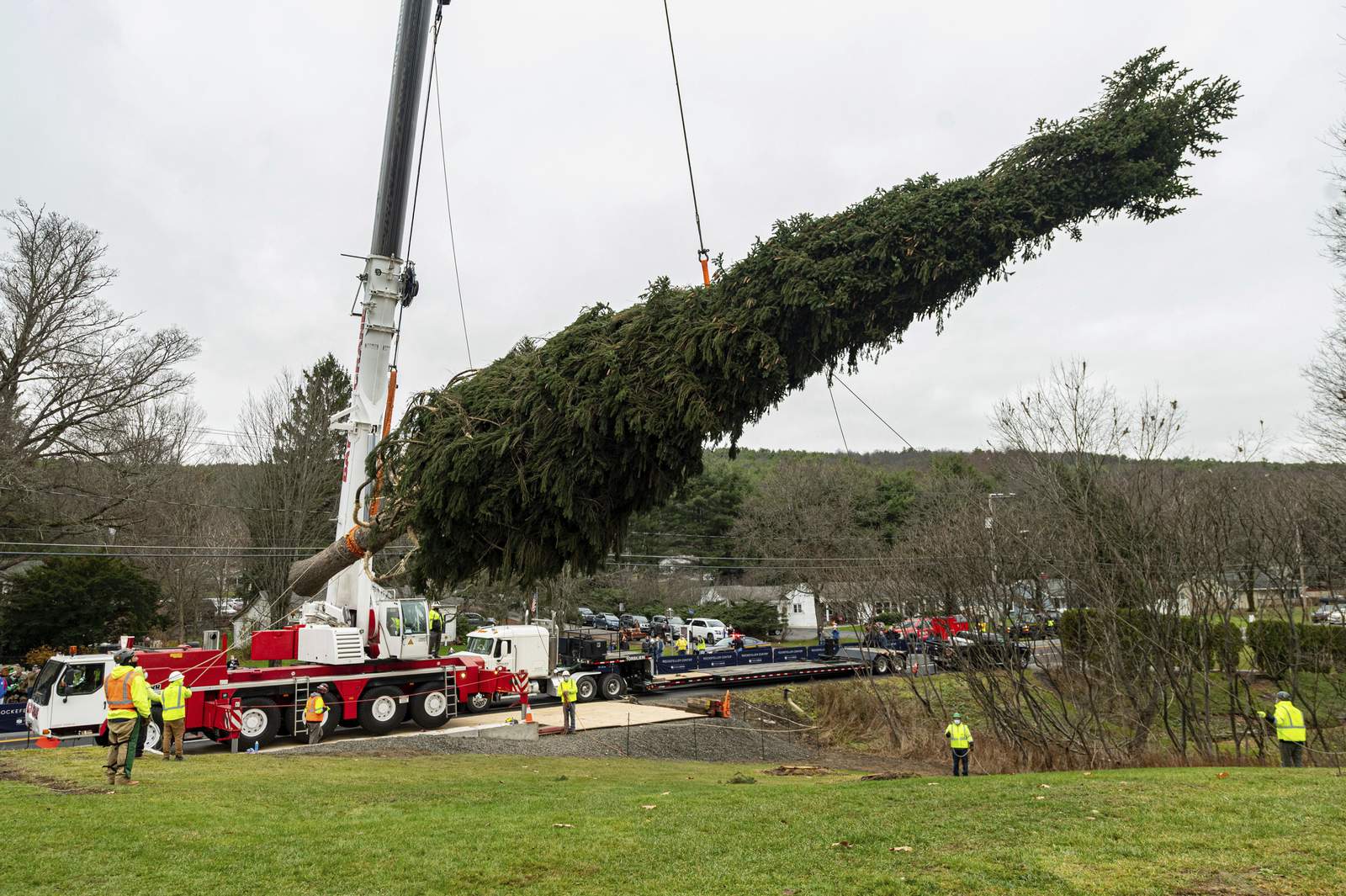 75-foot spruce to be NYC’s Rockefeller Center Christmas tree