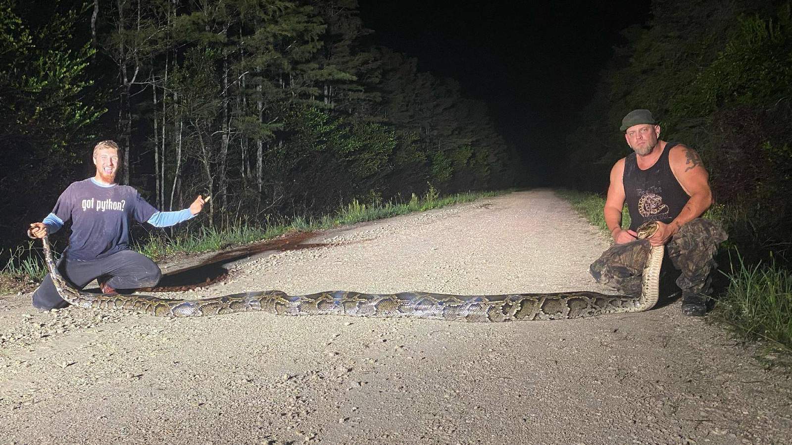 Record-breaking Burmese python captured in South Florida