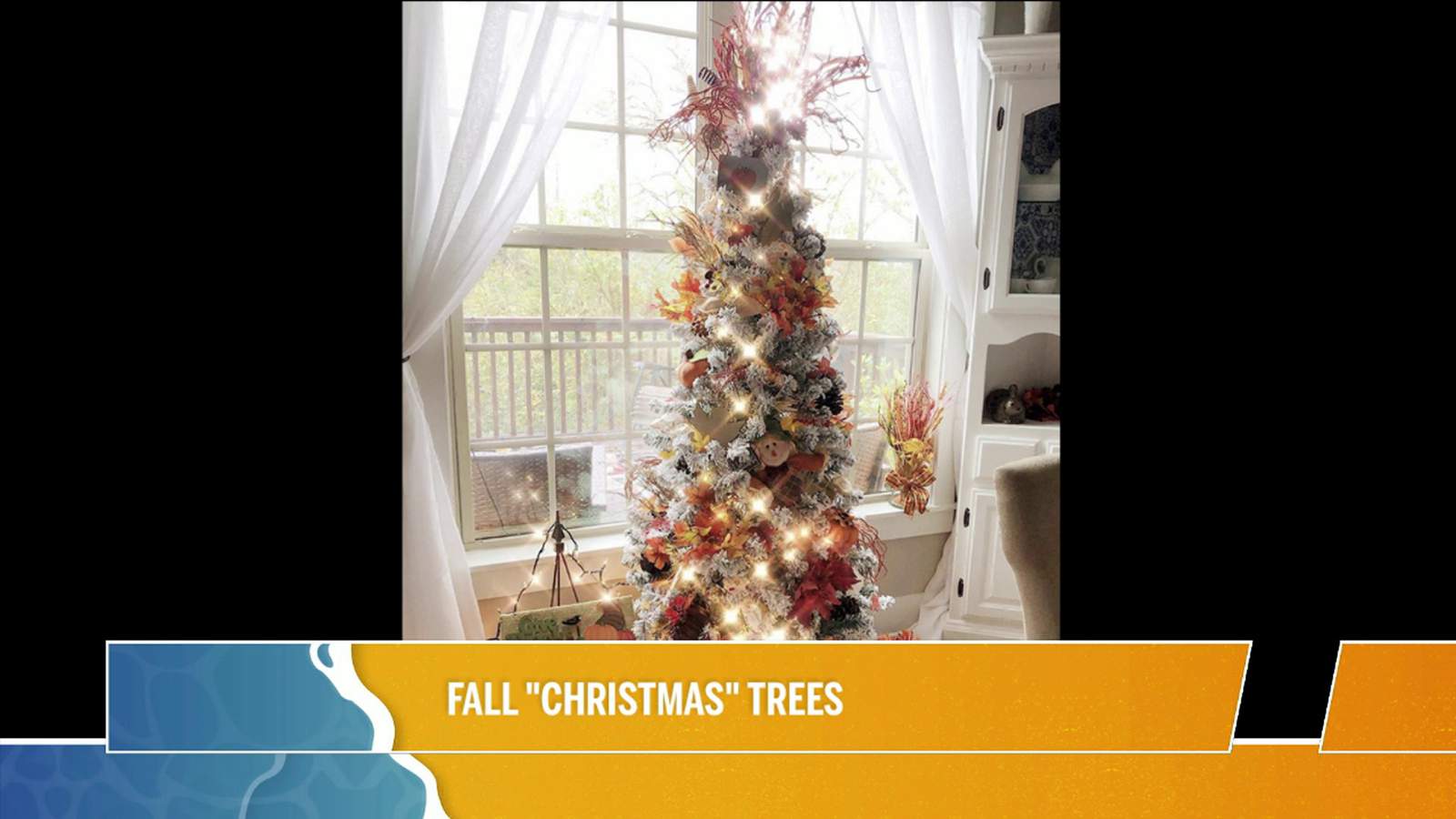 Host Chat: Fall Christmas Tree and More | River City Live