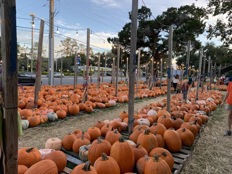 Fall list: 2021 pumpkin patches, hayrides, events in your area