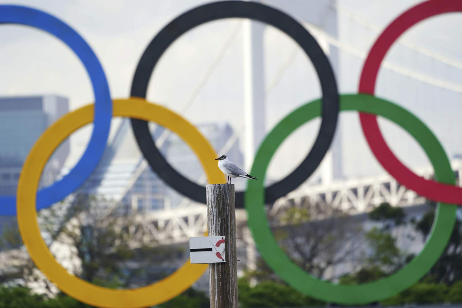 Officials say Olympic cancellation, no fans still an option