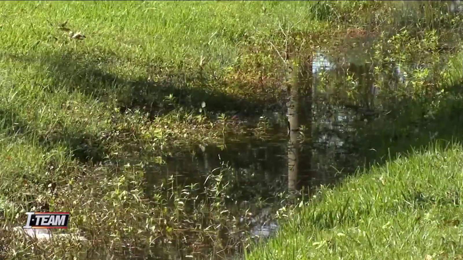 Jacksonville requests $6M in state funds to phase out failing septic tanks