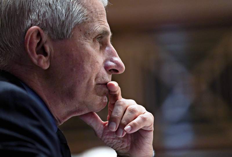 Fauci: More ‘pain and suffering’ ahead as COVID cases rise