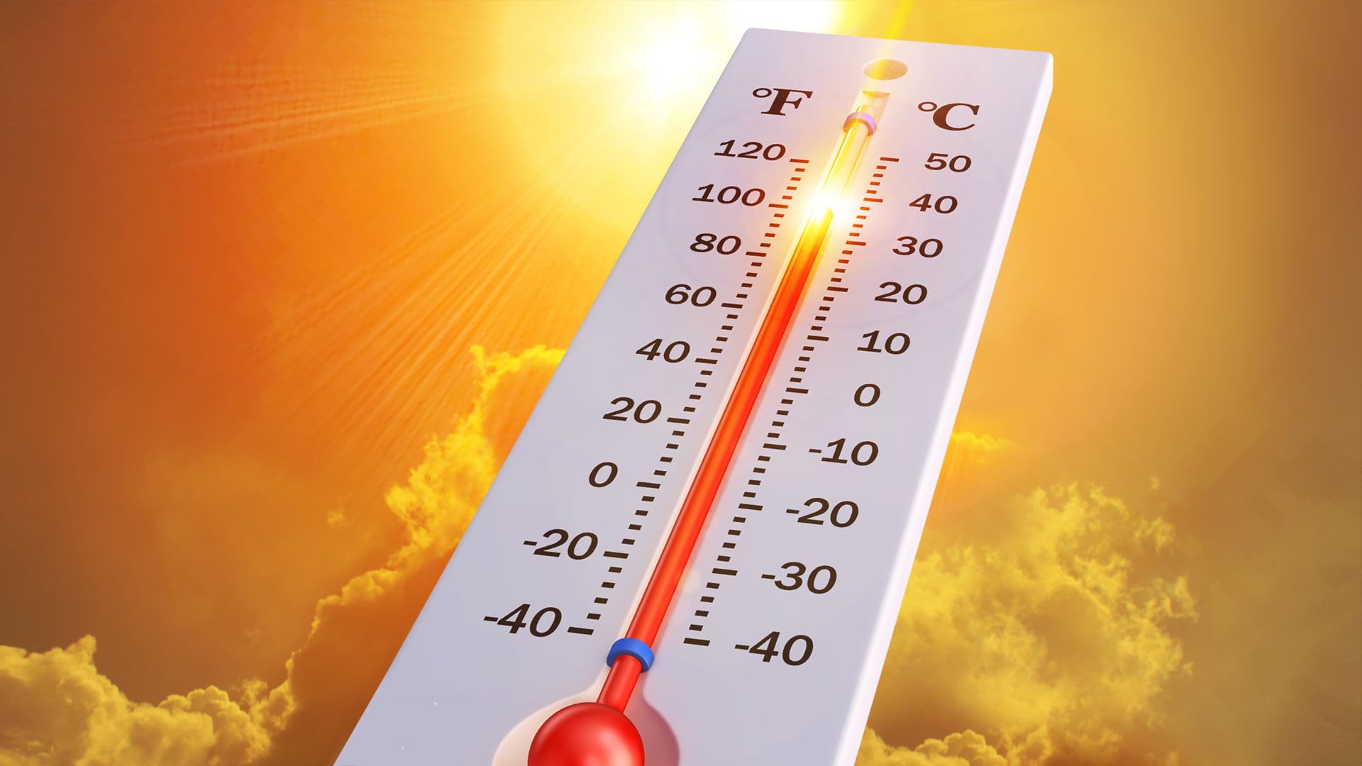 Hot! Hot! Hot! Scorching temps are here to stay. Here’s how to prepare for the extreme heat.