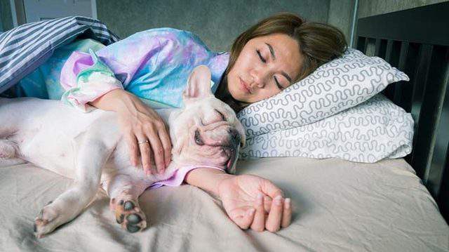 Women sleep better with dogs by their sides, study says