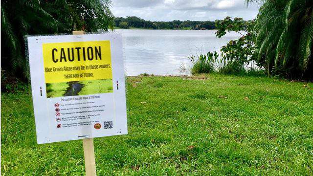 Officials issue health alert over blue-green algae in St. Johns River